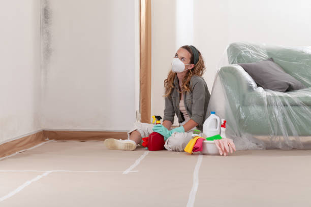 Reliable Mold Removal contractor in New Berlin, IL by Mold Remediation HQ
